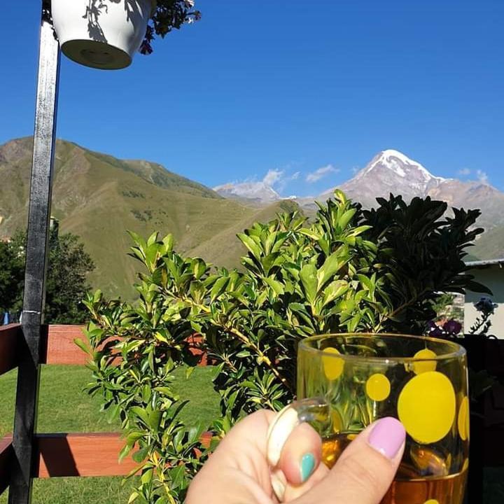 Guest House Elguja Qushashvili Kazbegi Εξωτερικό φωτογραφία