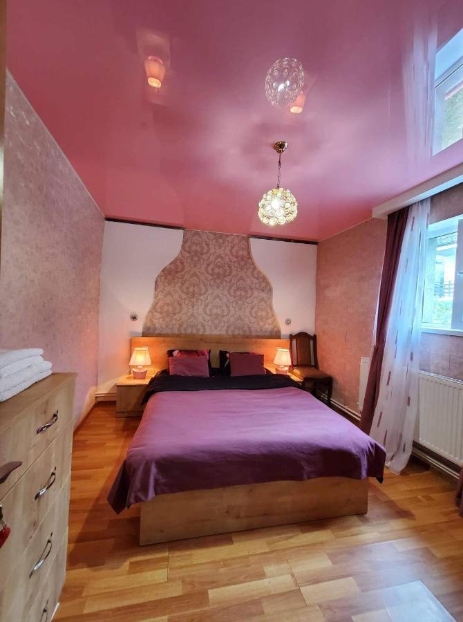Guest House Elguja Qushashvili Kazbegi Εξωτερικό φωτογραφία