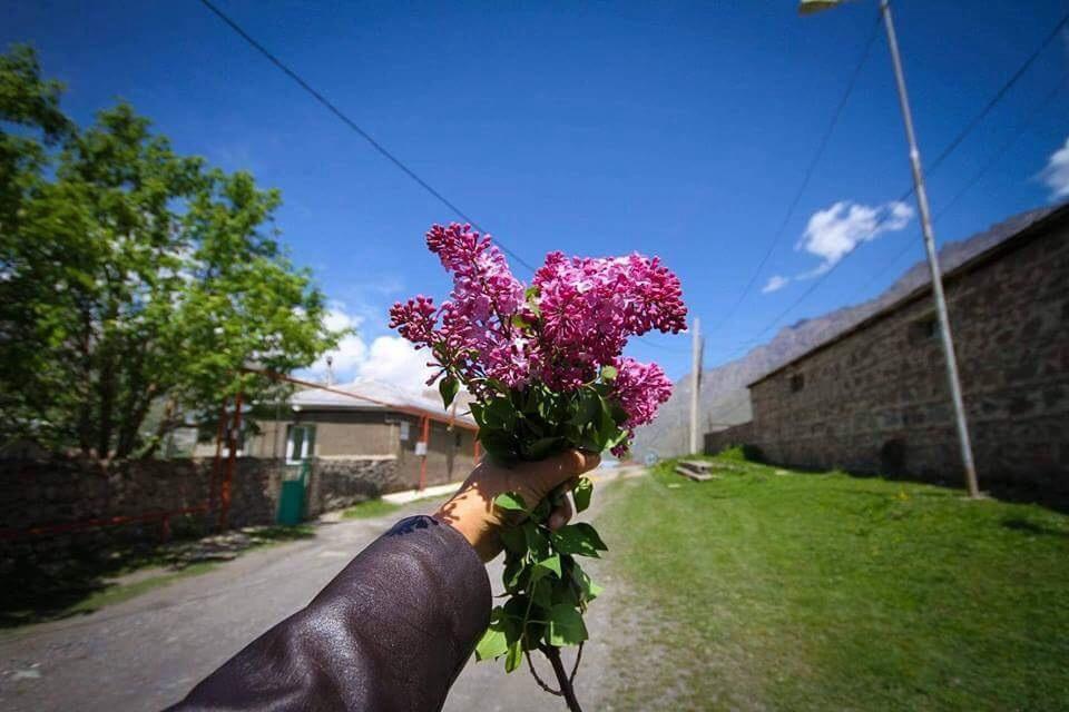 Guest House Elguja Qushashvili Kazbegi Εξωτερικό φωτογραφία