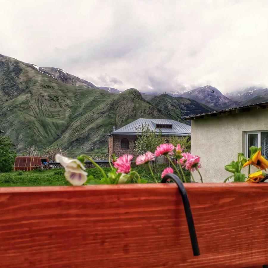 Guest House Elguja Qushashvili Kazbegi Εξωτερικό φωτογραφία